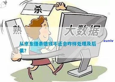 京东借条逾期报案如何处理