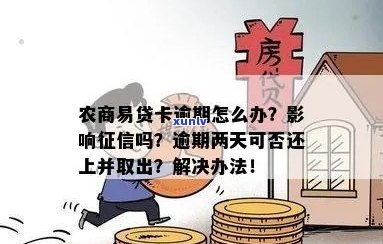 农商易贷卡逾期两个月该怎么处理