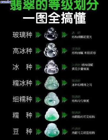 全面了解翡翠价格等级分层的详细解析，解决用户关于翡翠价格的所有疑问