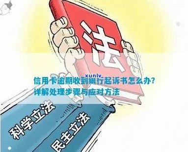 逾期被银行起诉开庭怎么办应该如何处理