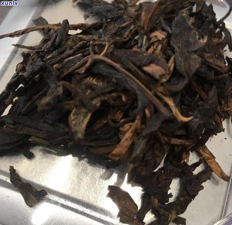 孕妇喝浓普洱茶的危害及注意事项：一篇全面解答孕妇饮茶问题的综述