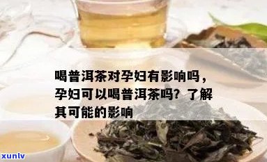 孕妇喝普洱茶会怎么样：对胎儿的影响与注意事项