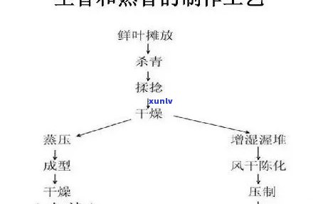 探究半发酵茶的不同种类及其特点