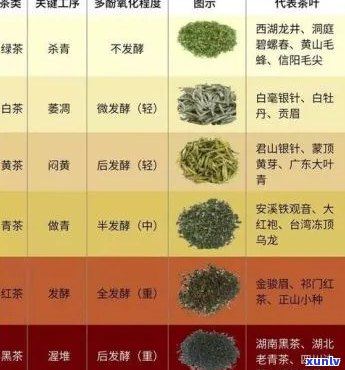 半发酵茶品特色与分类：从绿茶到乌龙茶的全面解读