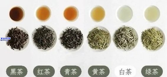 全解析：了解半发酵茶的种类、特点与品质