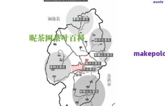 帕沙普洱茶：源自哪个独特茶区的醇香之味探讨