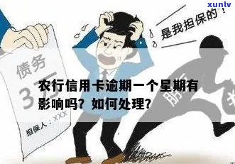 农行农信用卡逾期一个月该怎么办