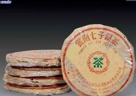 80年代普洱茶代表作全方位解析：品味历经典，了解代表作品及品质特点