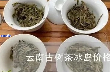 冰岛古树普洱茶：品种、产地、价格及品鉴 *** 一网打尽！