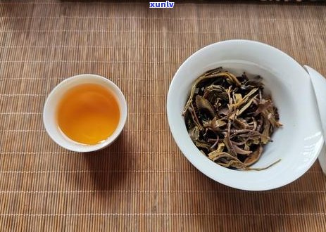 百年品质，普洱茶一品值得品尝吗？了解其独特魅力与品鉴技巧