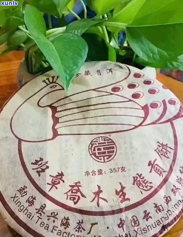 勐海茶厂班章木生态茶