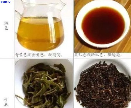 云南普洱茶与洛神红茶的综合对比：品种、口感、功效与冲泡技巧详解