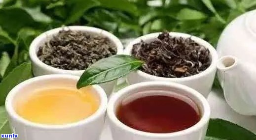 云南普洱茶与洛神红茶的综合对比：品种、口感、功效与冲泡技巧详解