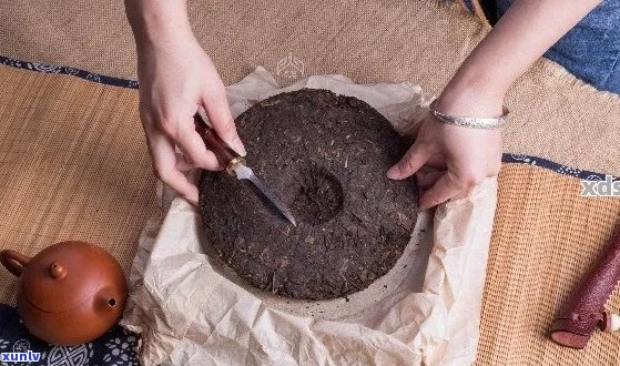 探究普洱茶铁饼的文化内涵与品饮技巧