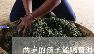 2岁喝普洱茶好吗