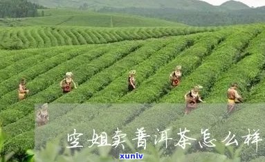 空姐卖普洱茶怎么样啊