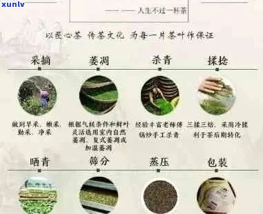 十年老班章的价值及其影响因素：一份全面的分析与解读