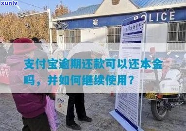 支付宝逾期未还款被没收收怎么办