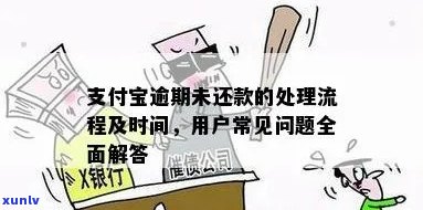 支付宝逾期未还款被没收收怎么办