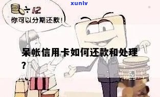 呆账可以期还款吗怎么还