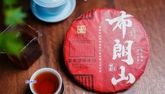 布朗山普洱茶功效与作用：独特价值、区别与特点，价格及品质解析