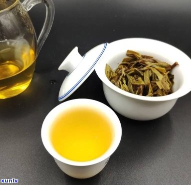 新古树普洱茶香醇口感，昔归茶的韵味与传承