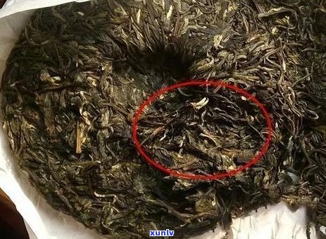 普洱茶是熟普洱吗