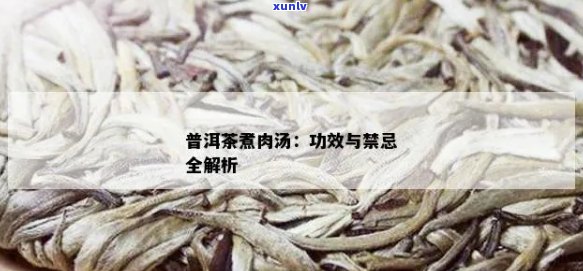 普洱茶与猪肉共煮的益处：探索这一独特搭配的全面解析