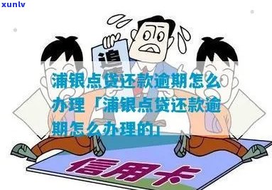 浦银点贷10万逾期怎么办