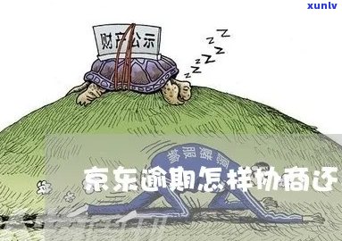 湖南京东逾期要怎么协商