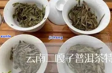 二嘎子茶：古树茶的品质与鉴别 *** 探究