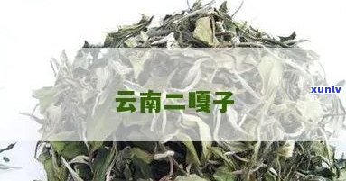 二嘎子茶的特点