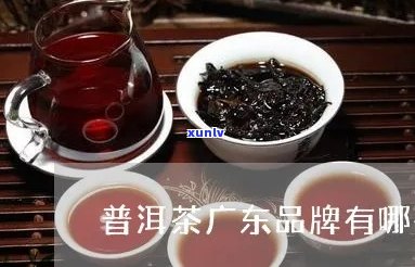 广东普洱茶哪家有名