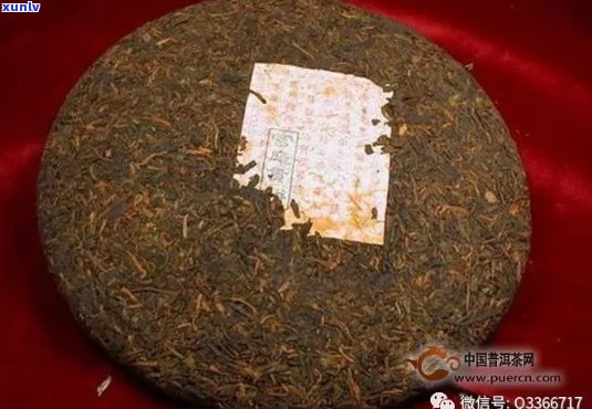 多少年是老普洱茶