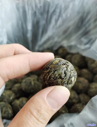 景迈古树龙珠茶