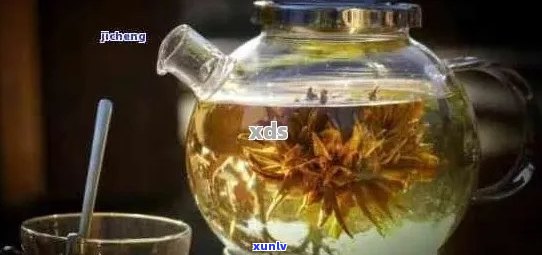 同时享受普洱茶和菊花的独特风味：如何将二者泡制在一起？