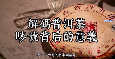 普洱茶揉碎：一种独特的制茶工艺及其意义