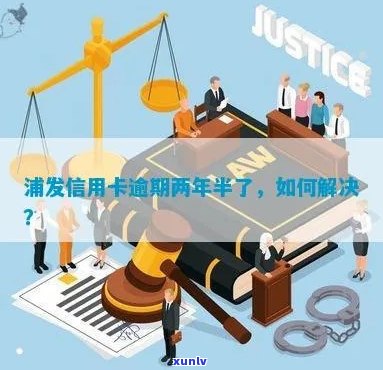 浦发信用卡逾期两年该怎么办