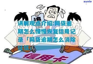 网贷逾期以后怎么办迅速恢复信用