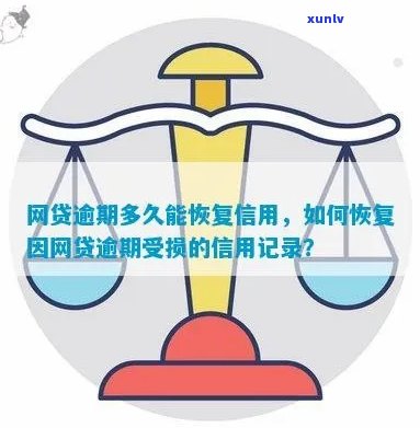 网贷逾期以后怎么办迅速恢复信用