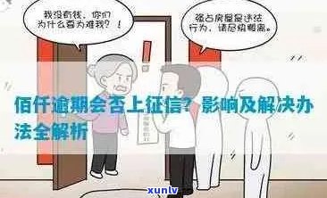 标题建议：【全面解决】失眠者的养生茶选择指南