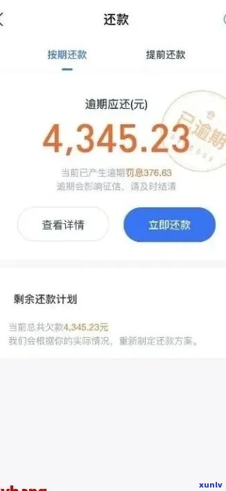 支付宝逾期后协商分期解决方案