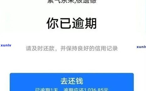 支付宝逾期后协商分期解决方案