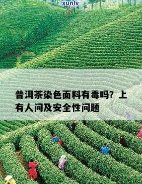 全面解密市场上翡翠散珠的 *** 原料与工艺，探究其真实价值与选购技巧