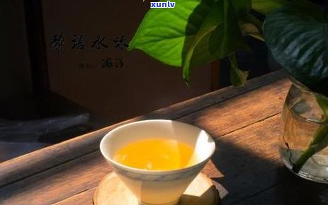 杭州普洱茶直播供应链 *** 及公司评价