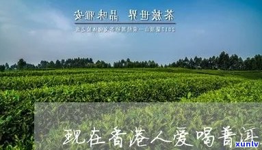 人能喝普洱茶吗吗为什么