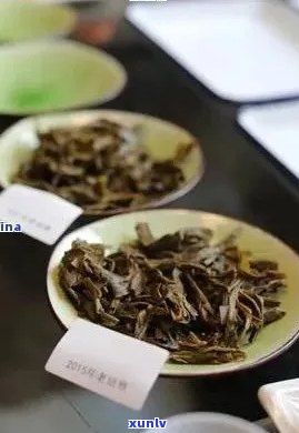 老班章厂址：位于历遗址的茶文化传承地，探寻古茶 *** 工艺与魅力