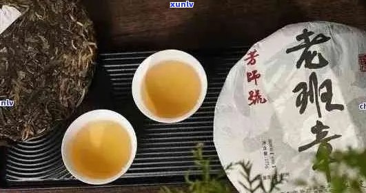 比较多个厂家的老班章茶叶：哪个的口感和品质更出色？