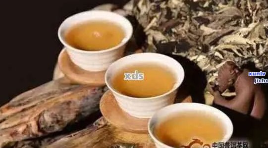 新 普洱茶的健益处：科学解析天天喝普洱茶的功效、作用与禁忌