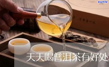 天天喝普洱茶功效